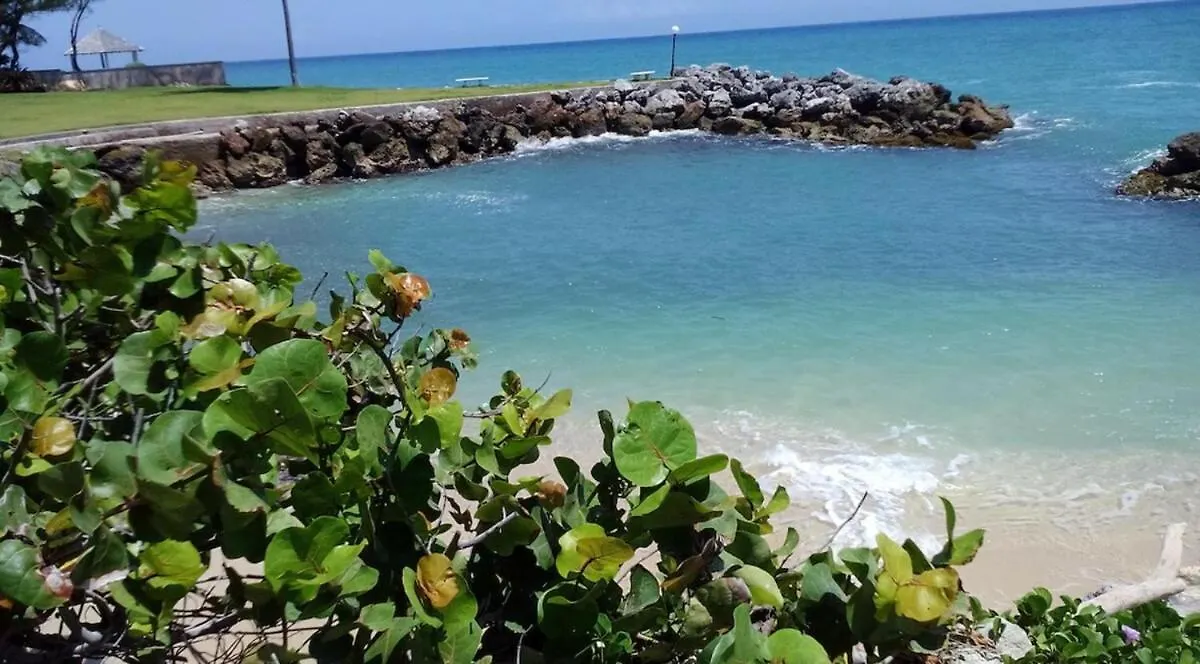 Beachfront 3 Bedroom House Tower Isle 度假居